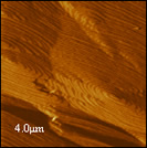 20x20µm2