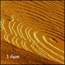 8x8µm2